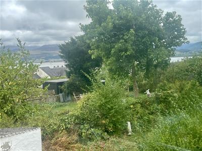Picture 12